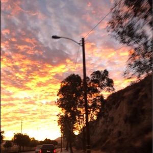 Meet your Posher, Lia